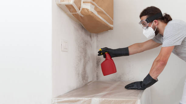 Professional Basement Mold Remediation technician working in Inwood, NY